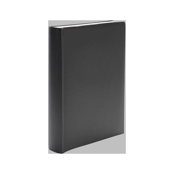 Ritz Super 100 10x15 Sort