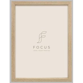 Focus Willow Eg 18X24