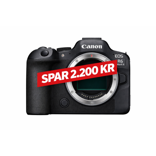 Canon Eos R6 MKII Hus