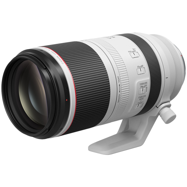 CANON RF 100-500MM F4,5-7,1 L IS USM